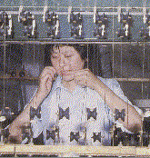 unreel.gif (16634 bytes)