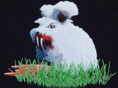 Killer rabbit